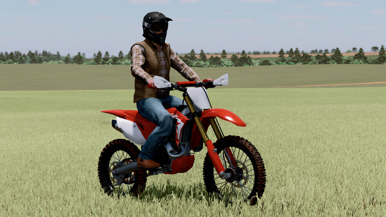 LIZARD CRF 450R