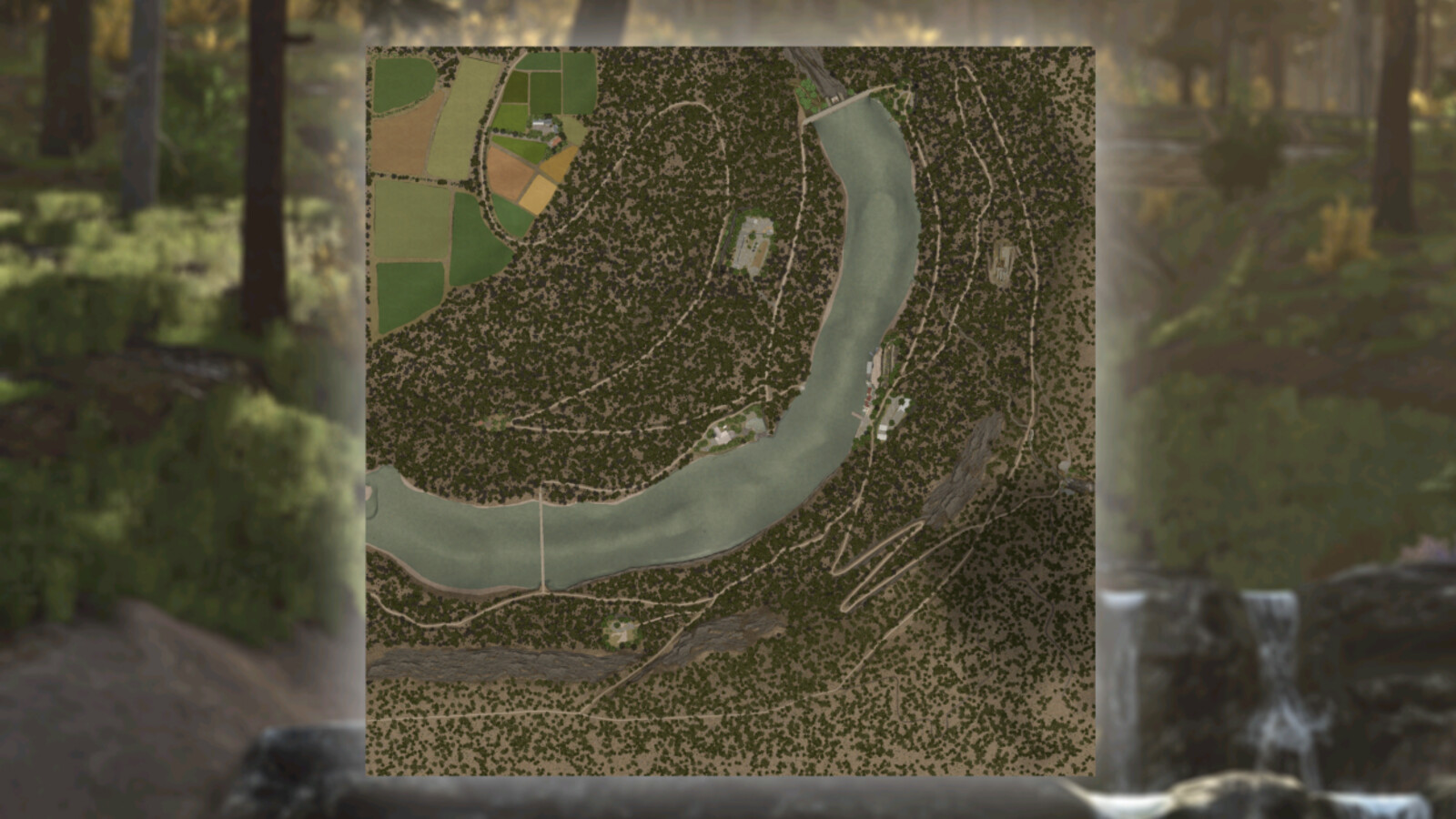 The Haut Doubs Forest