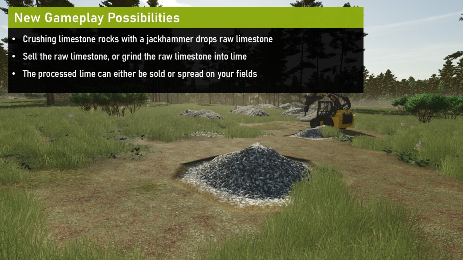 Limestone Rocks