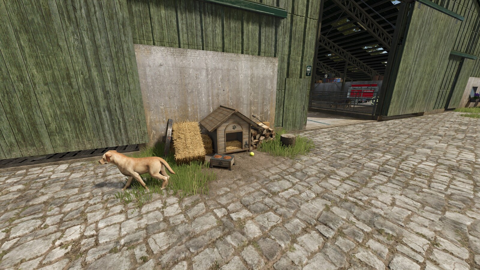 Dog House With Decoration