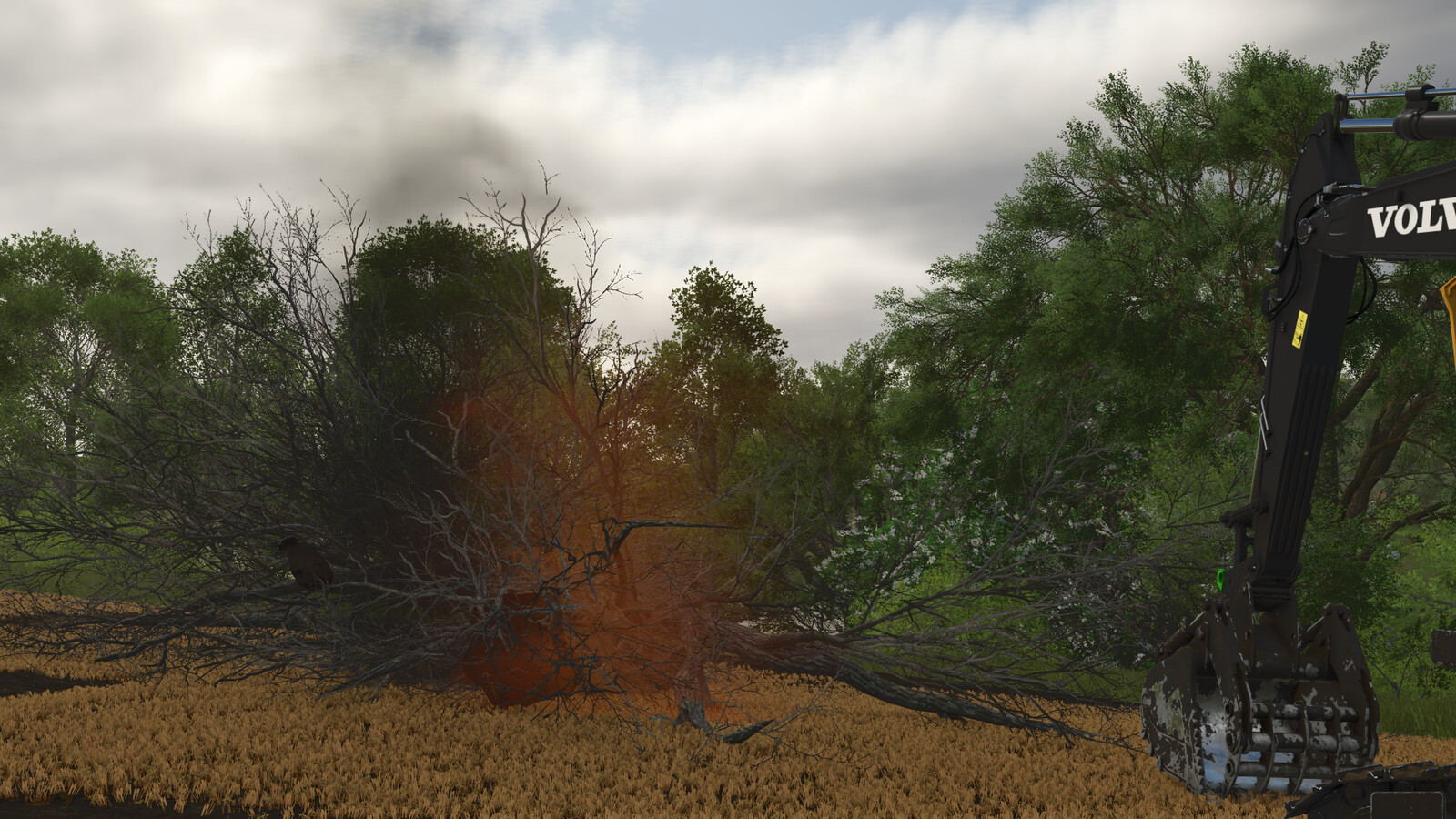 Land Clearing