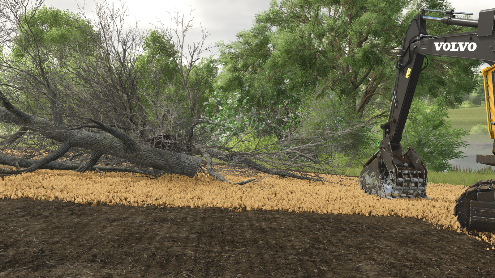 Land Clearing