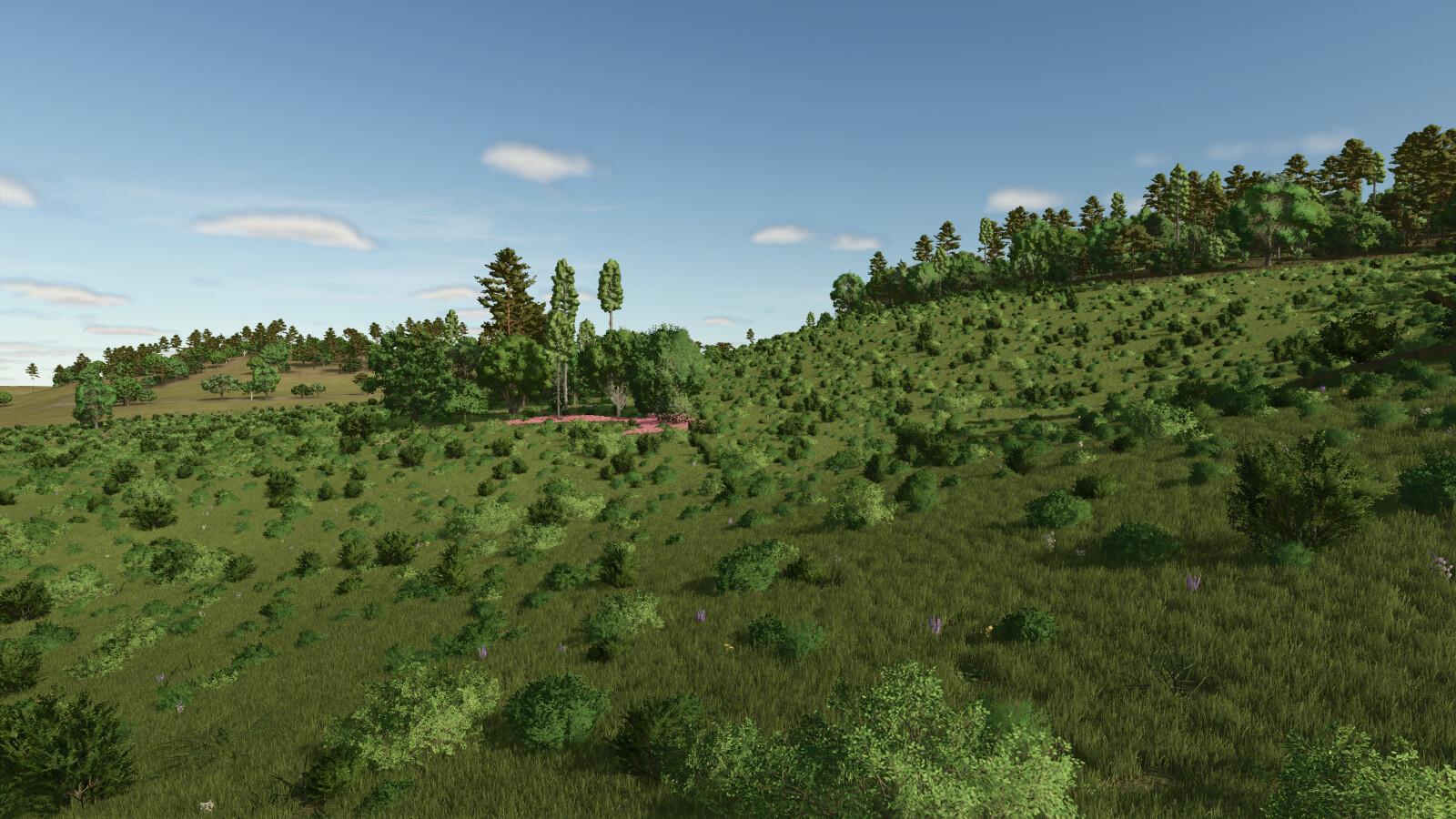 Survival4X