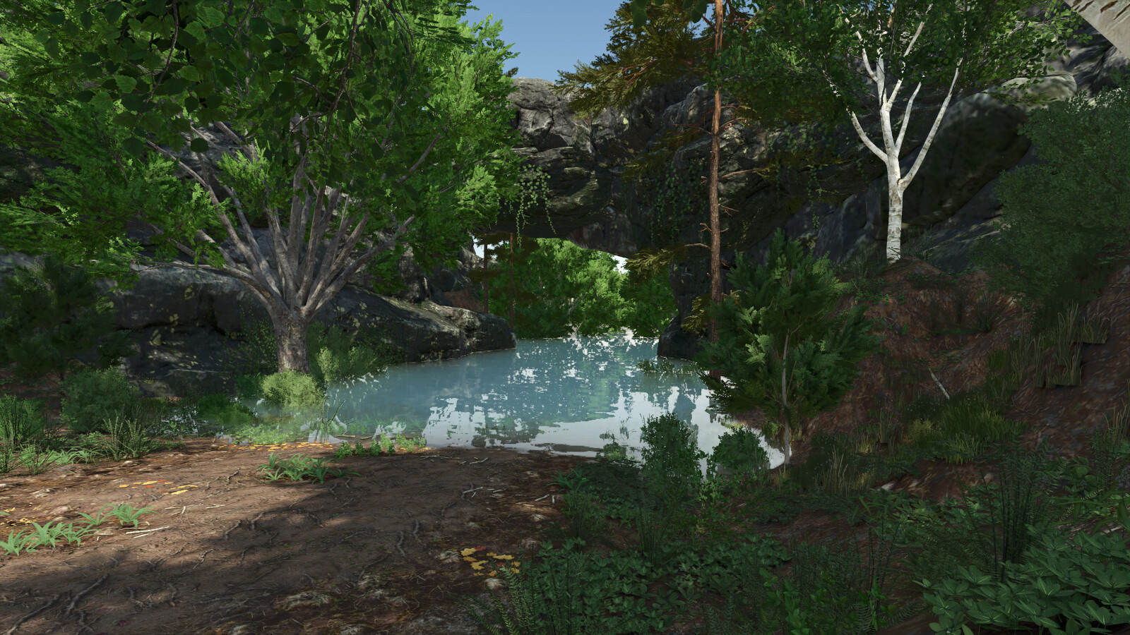 Submerged Sanctuary