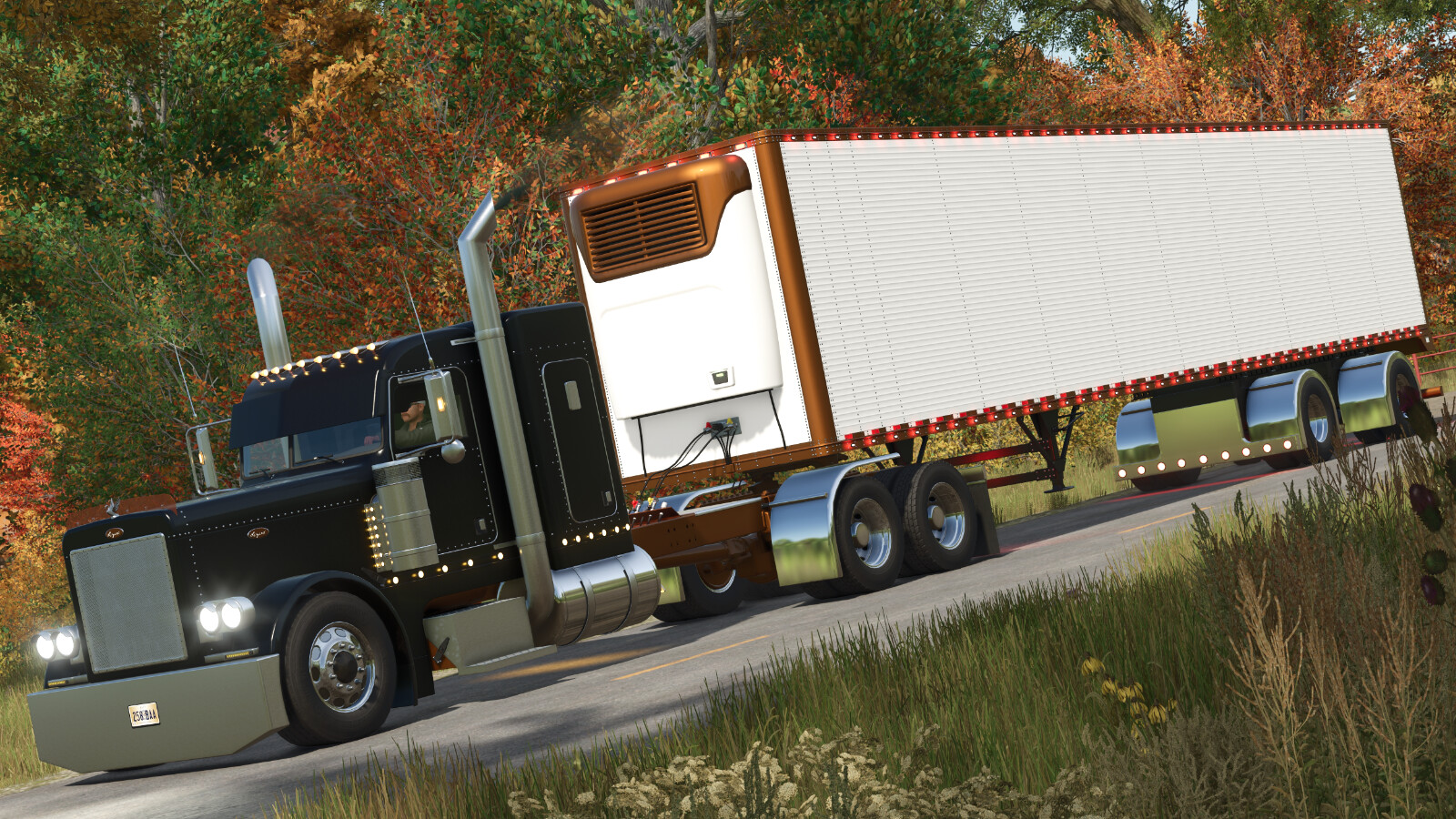 Lizard Dry Van Freezer Trailer