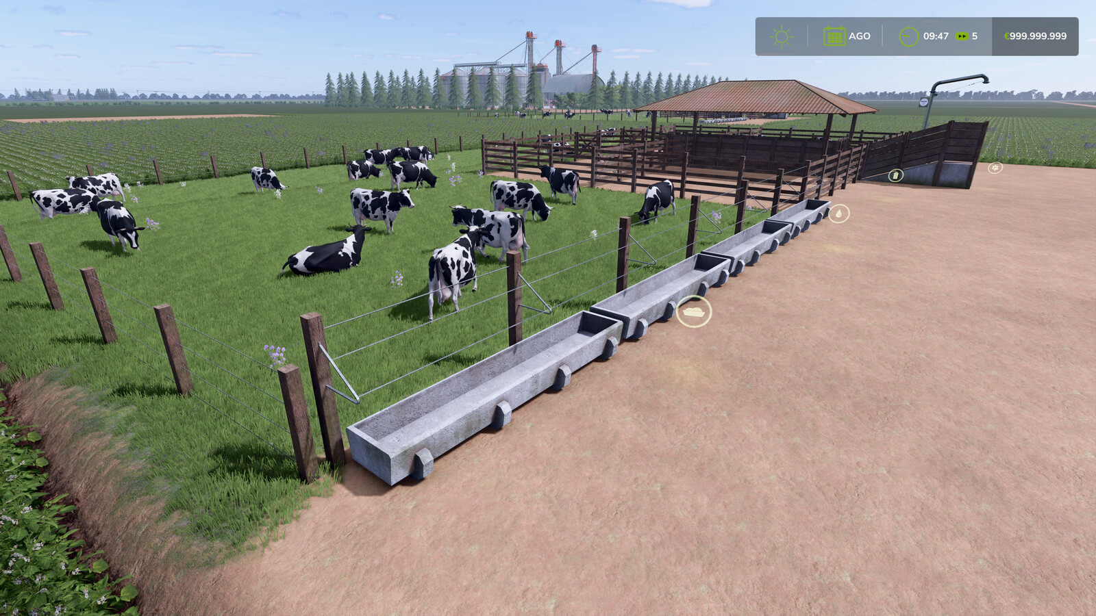 Brazilian Cow Barn