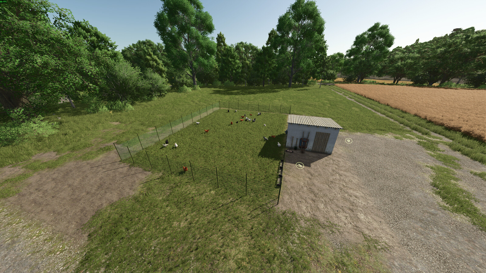 Small Chicken Coop