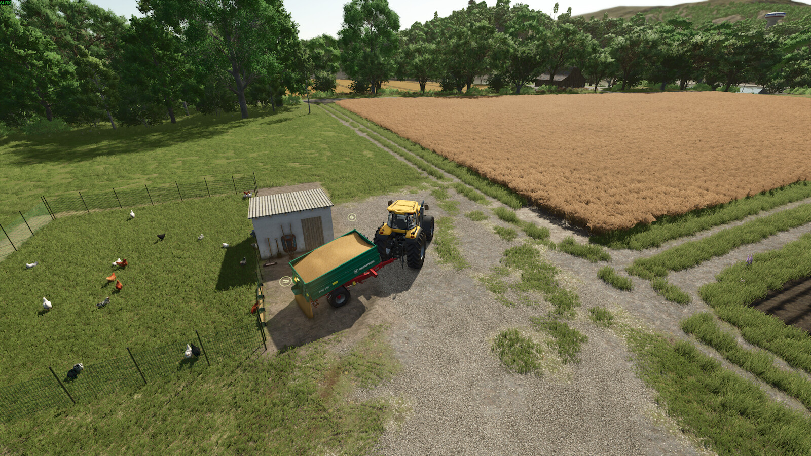 Small Chicken Coop