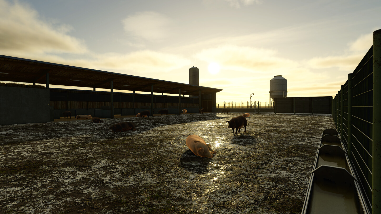 Animal Trader