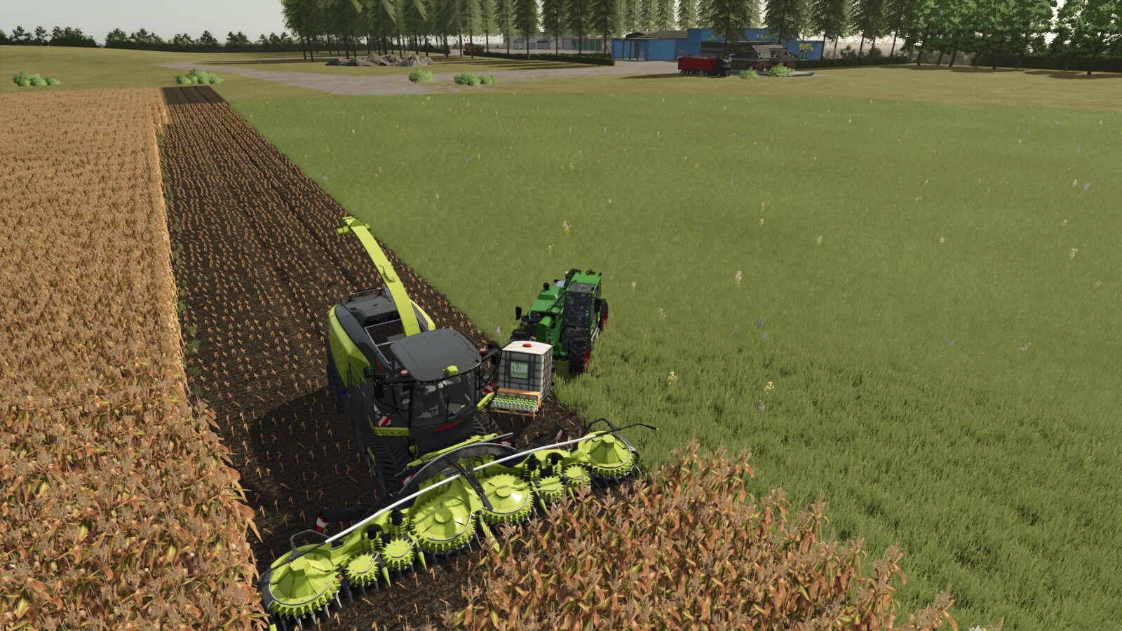 Lizard Silage Additve