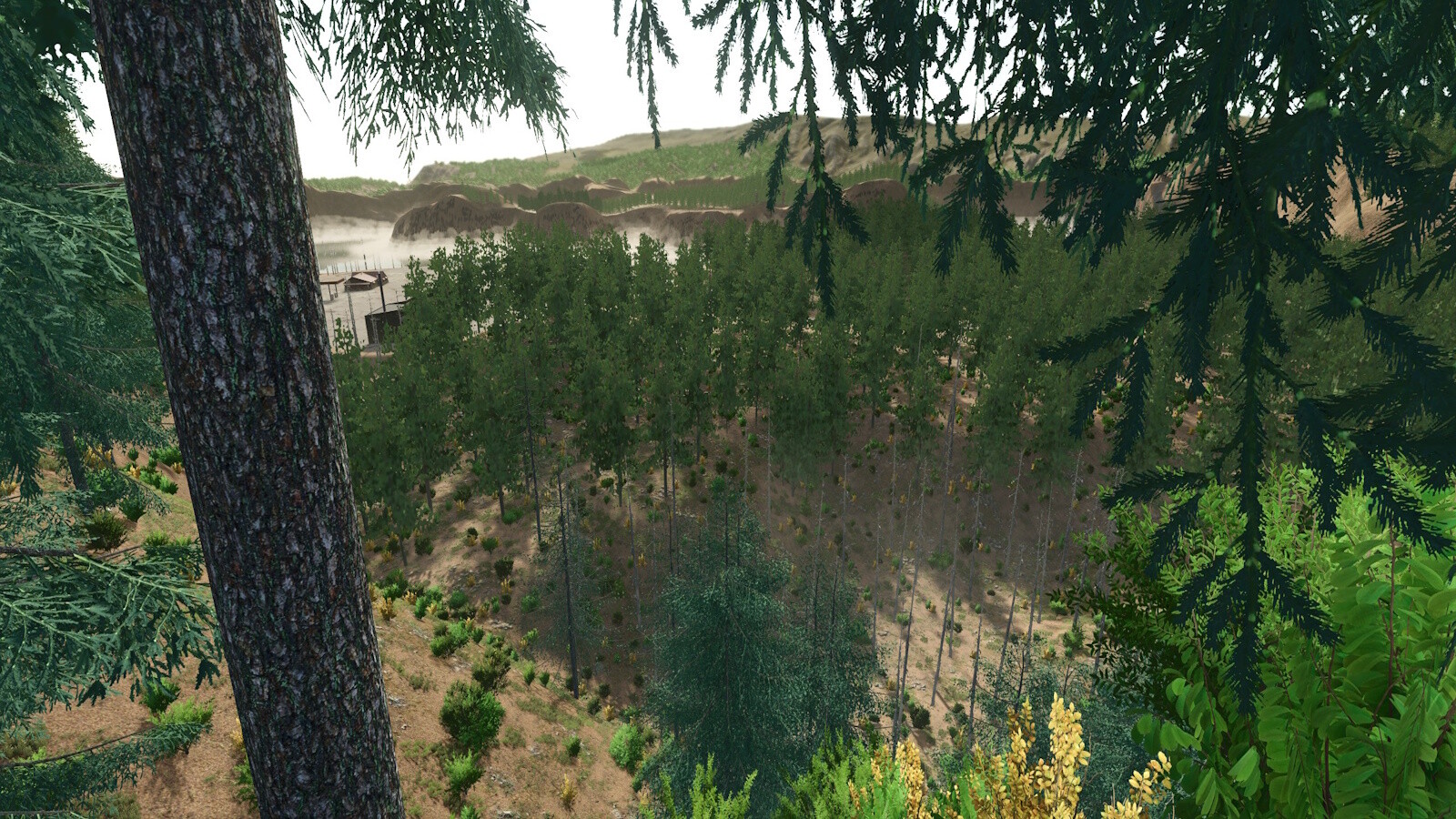 Blue Island Forest