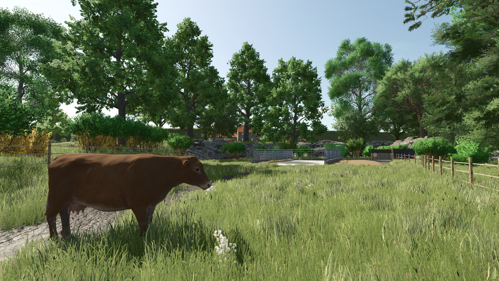 Pasture With Feeding Table
