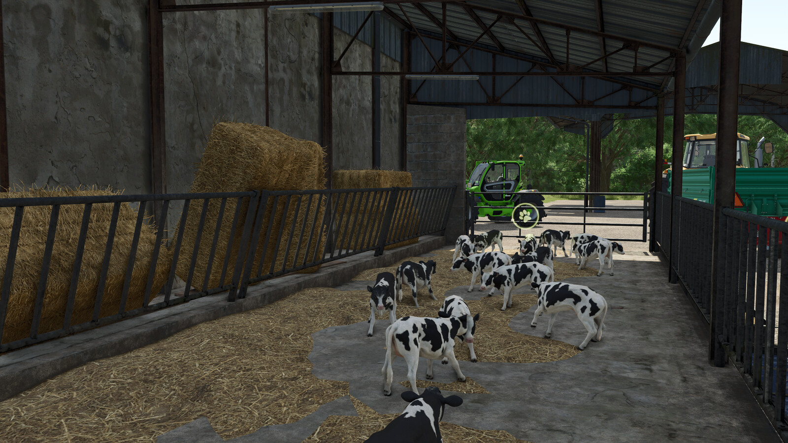 Feret Calf Stall