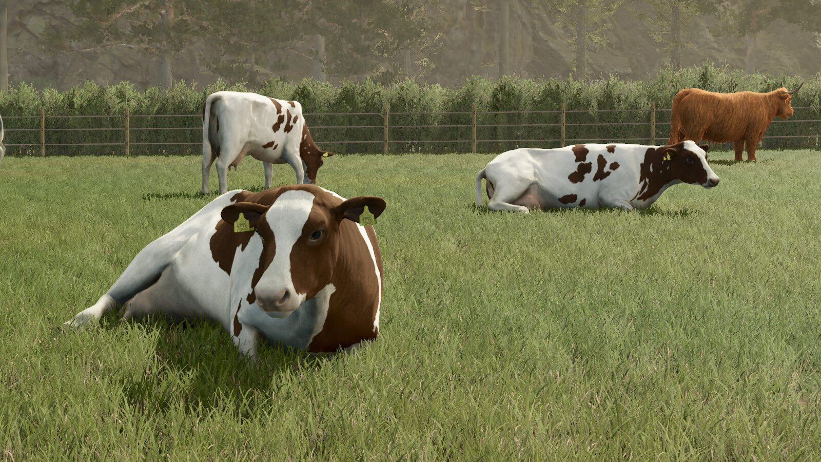 Animal Package Vanilla Edition