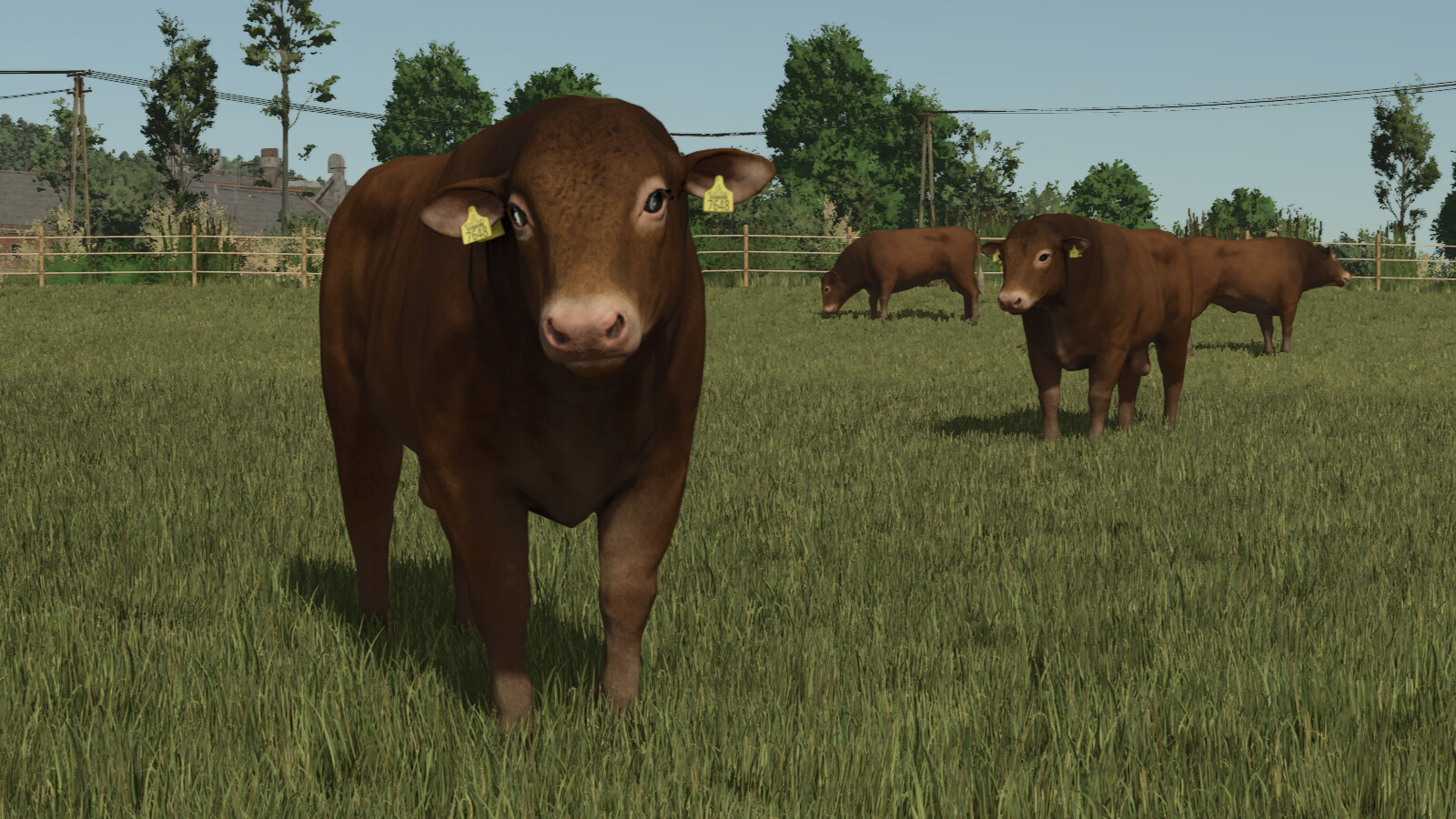 Animal Package Vanilla Edition