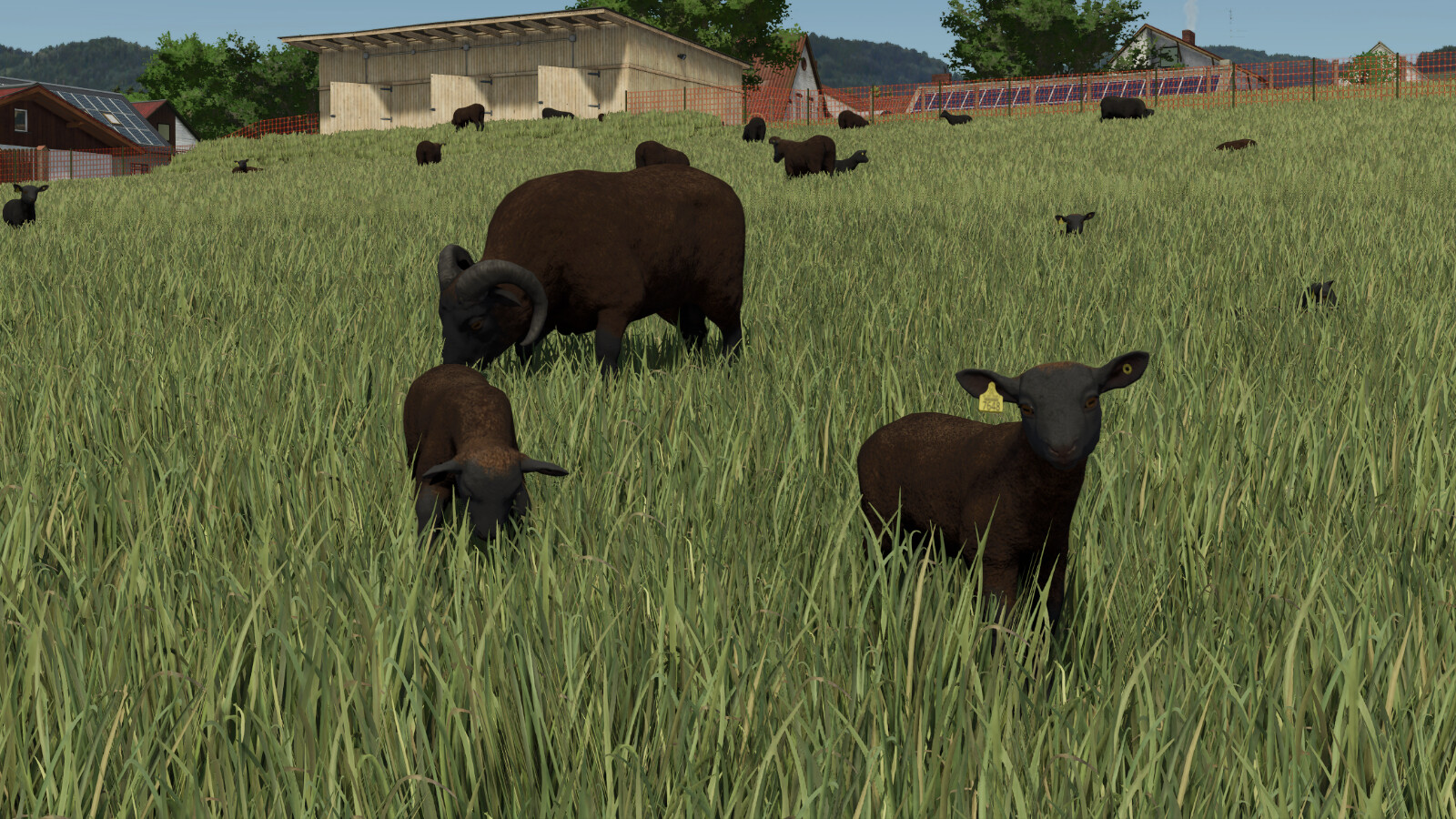 Animal Package Vanilla Edition