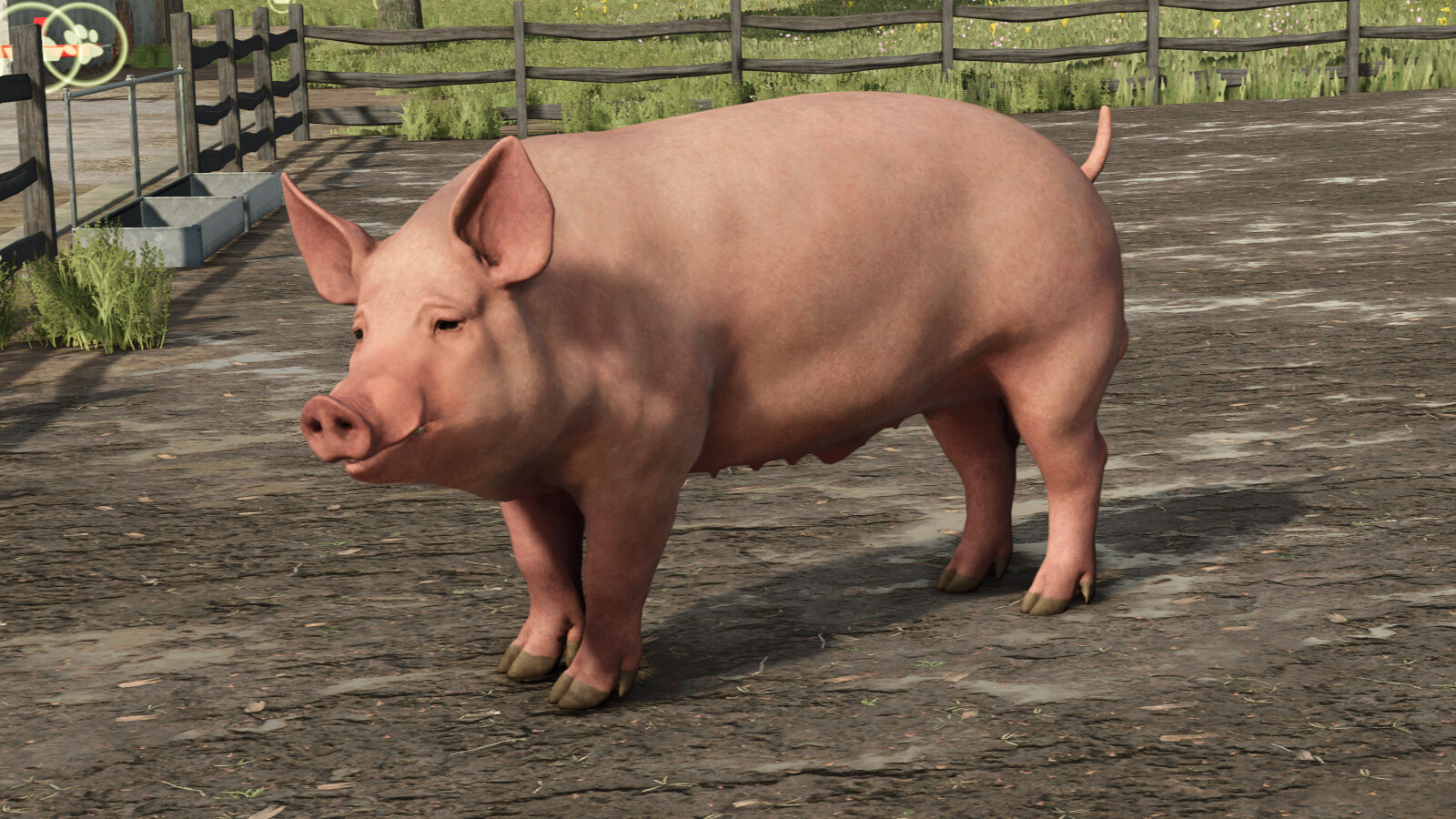Animal Package Vanilla Edition