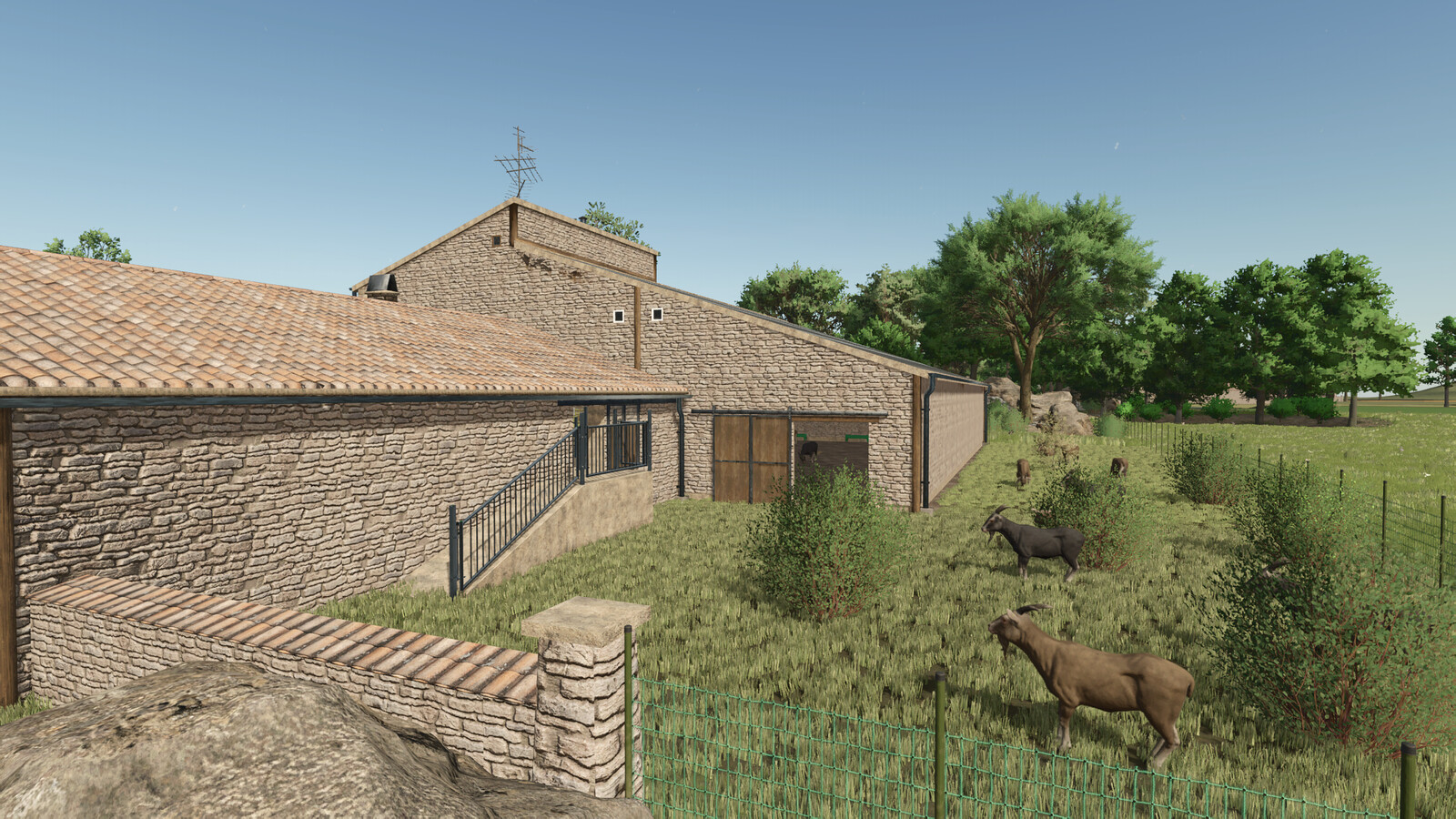 Goat Farm