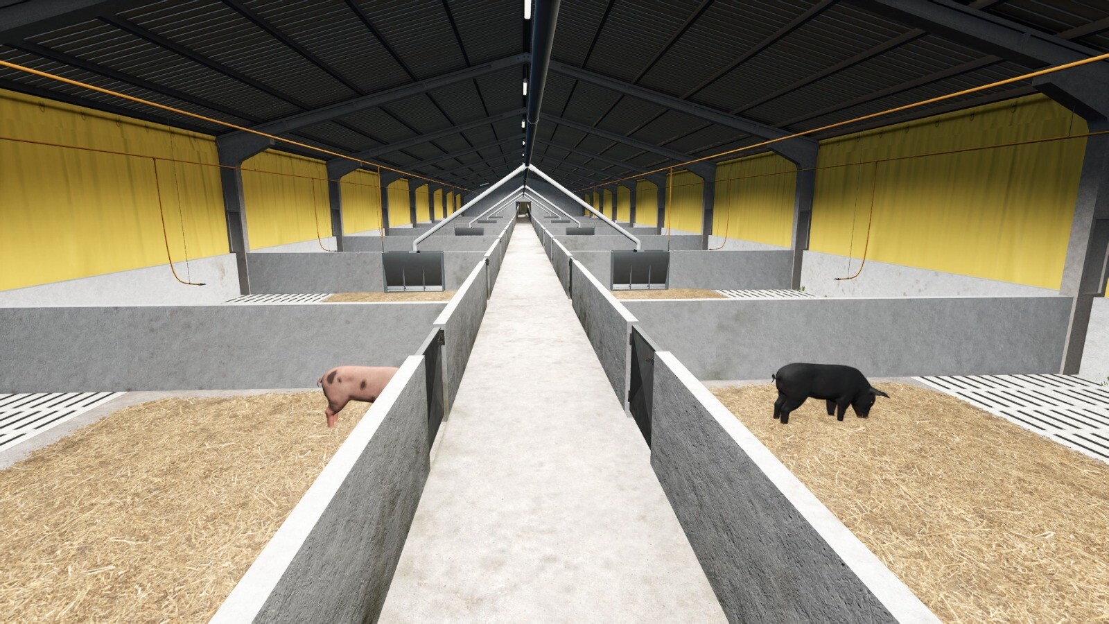 Pigsty And Manure Heap