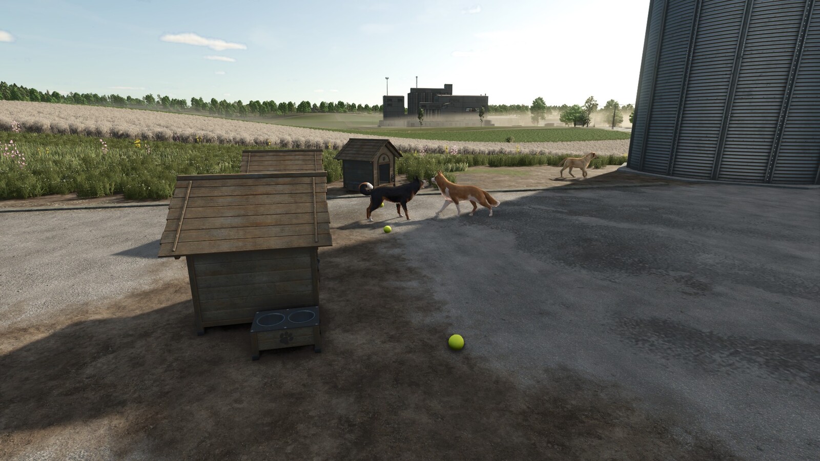 Who Let The Dogs Out