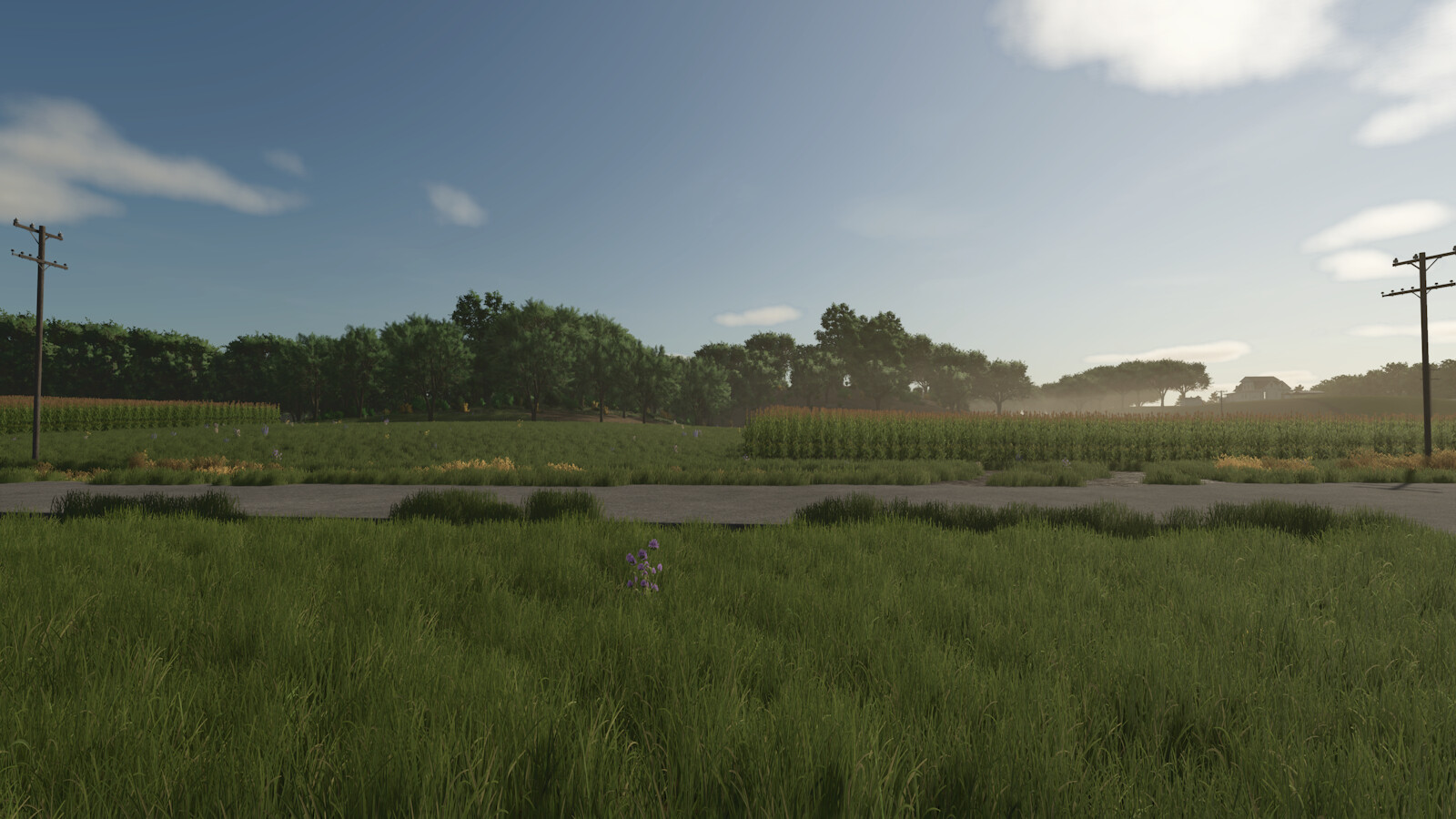 Hazelnut Farms