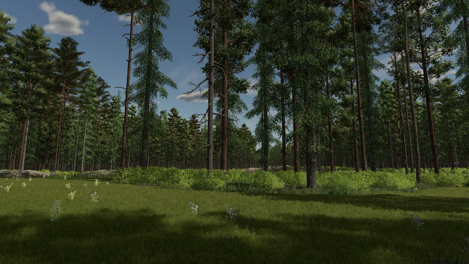 InTo The Woods