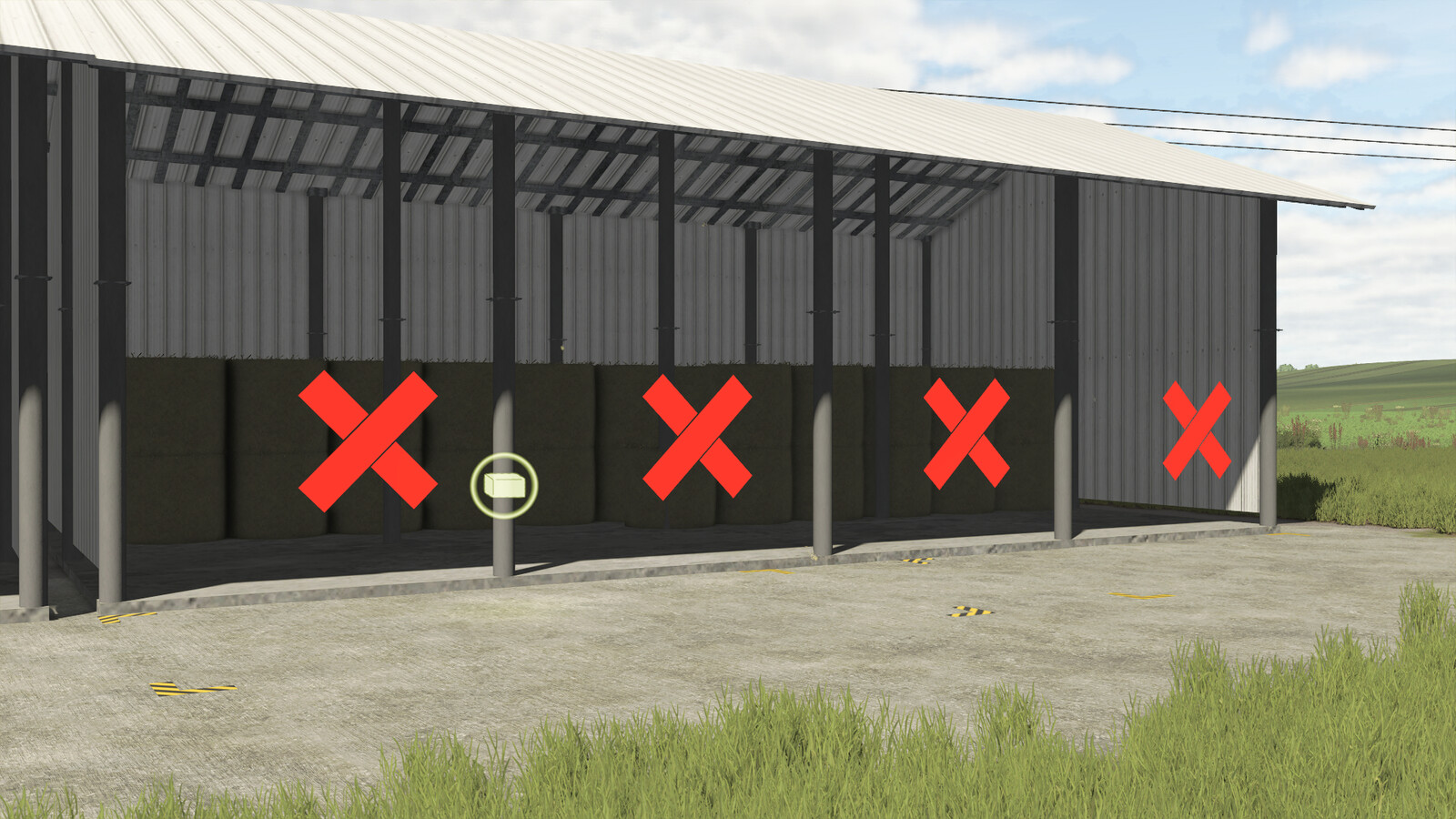 Polish Shed Pack