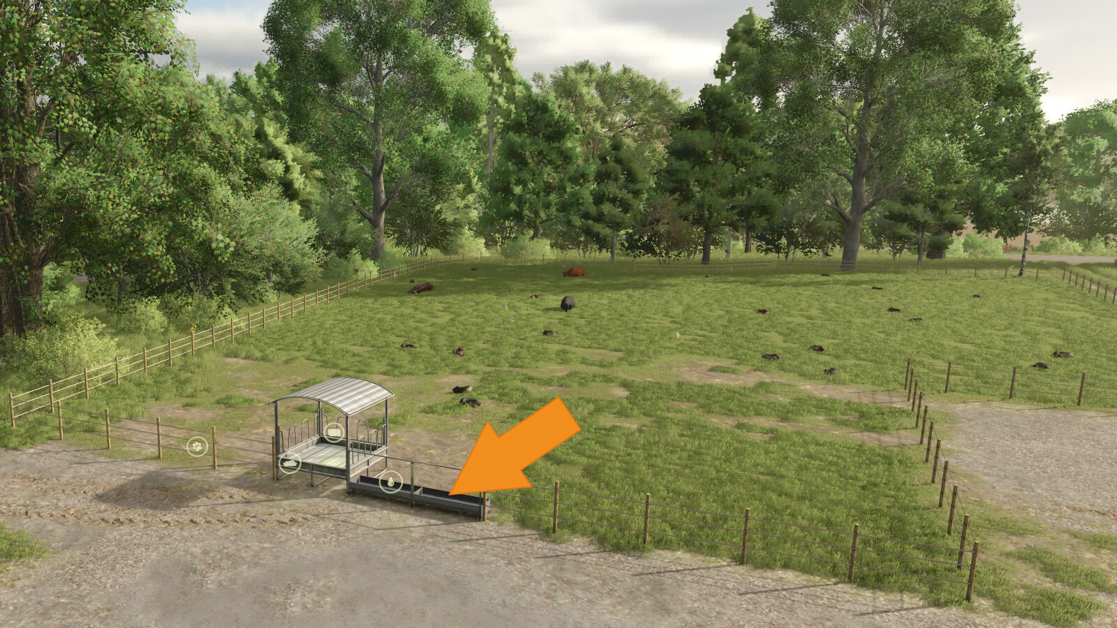 Automatic Drinking Trough