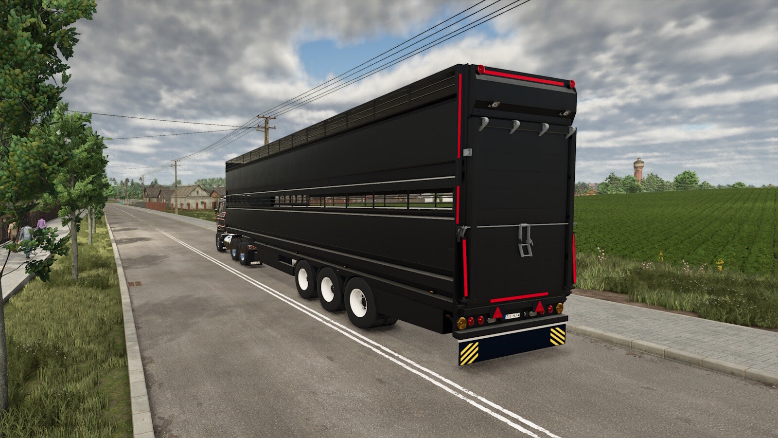 Lizard AM Transport Cattle