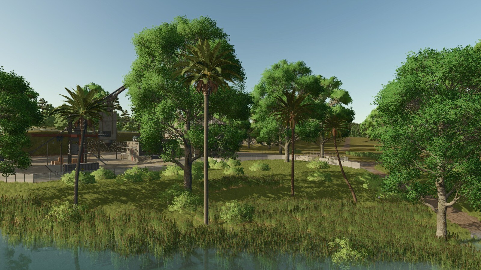 Lapacho Palms