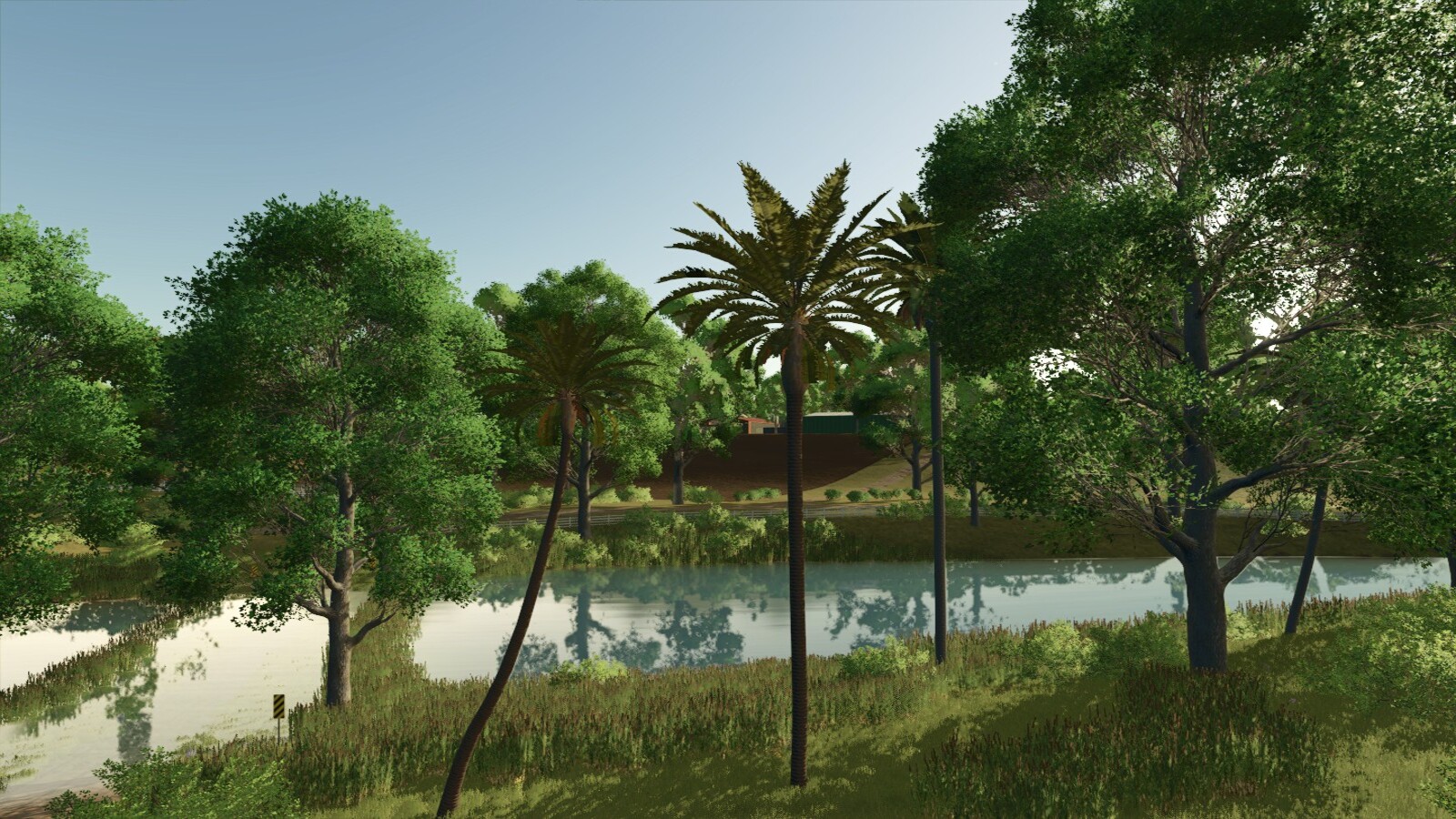 Lapacho Palms