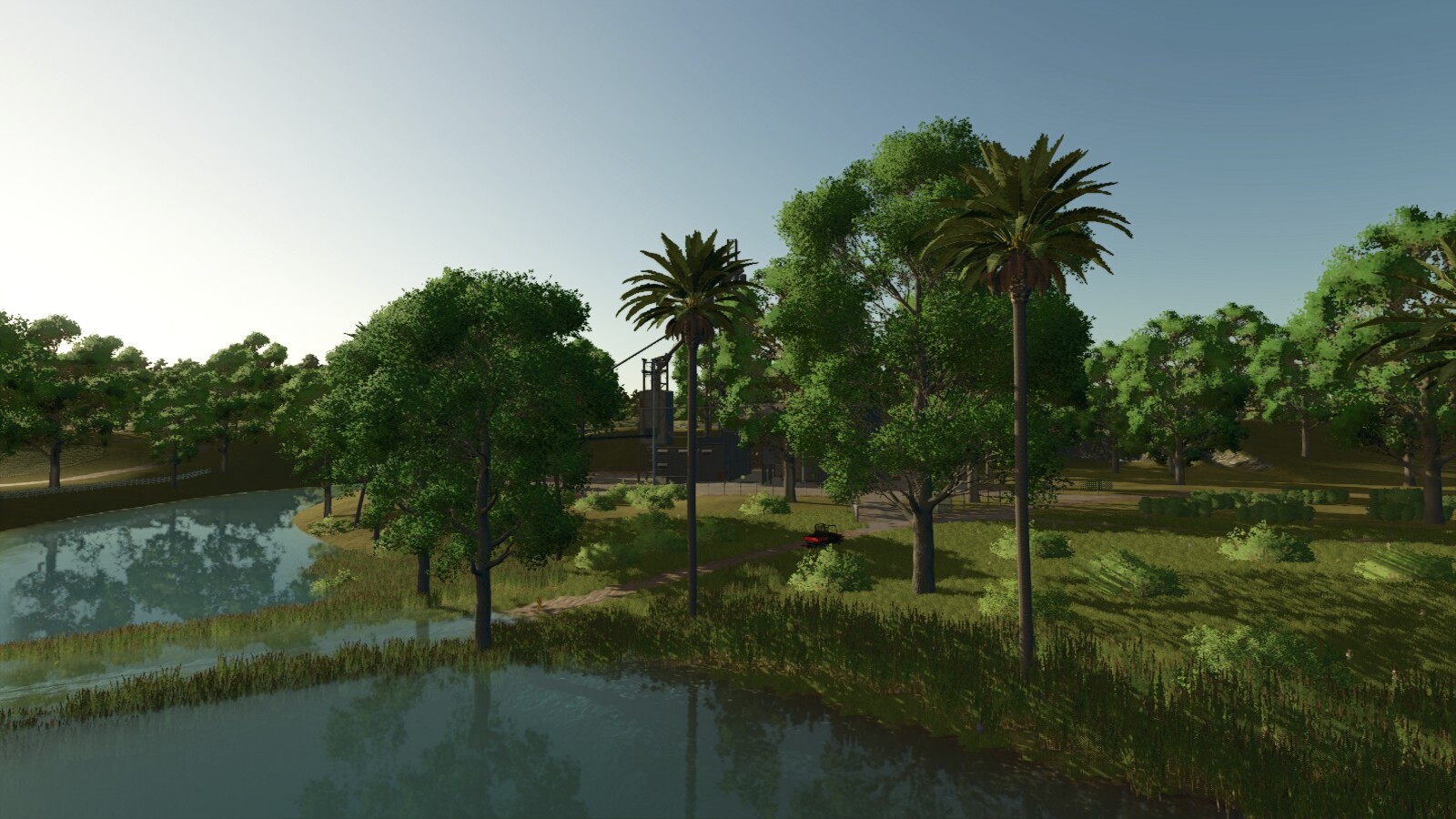 Lapacho Palms