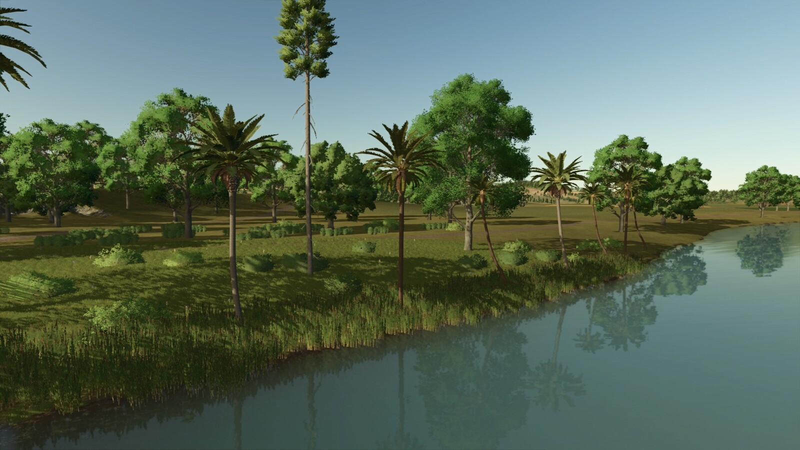 Lapacho Palms