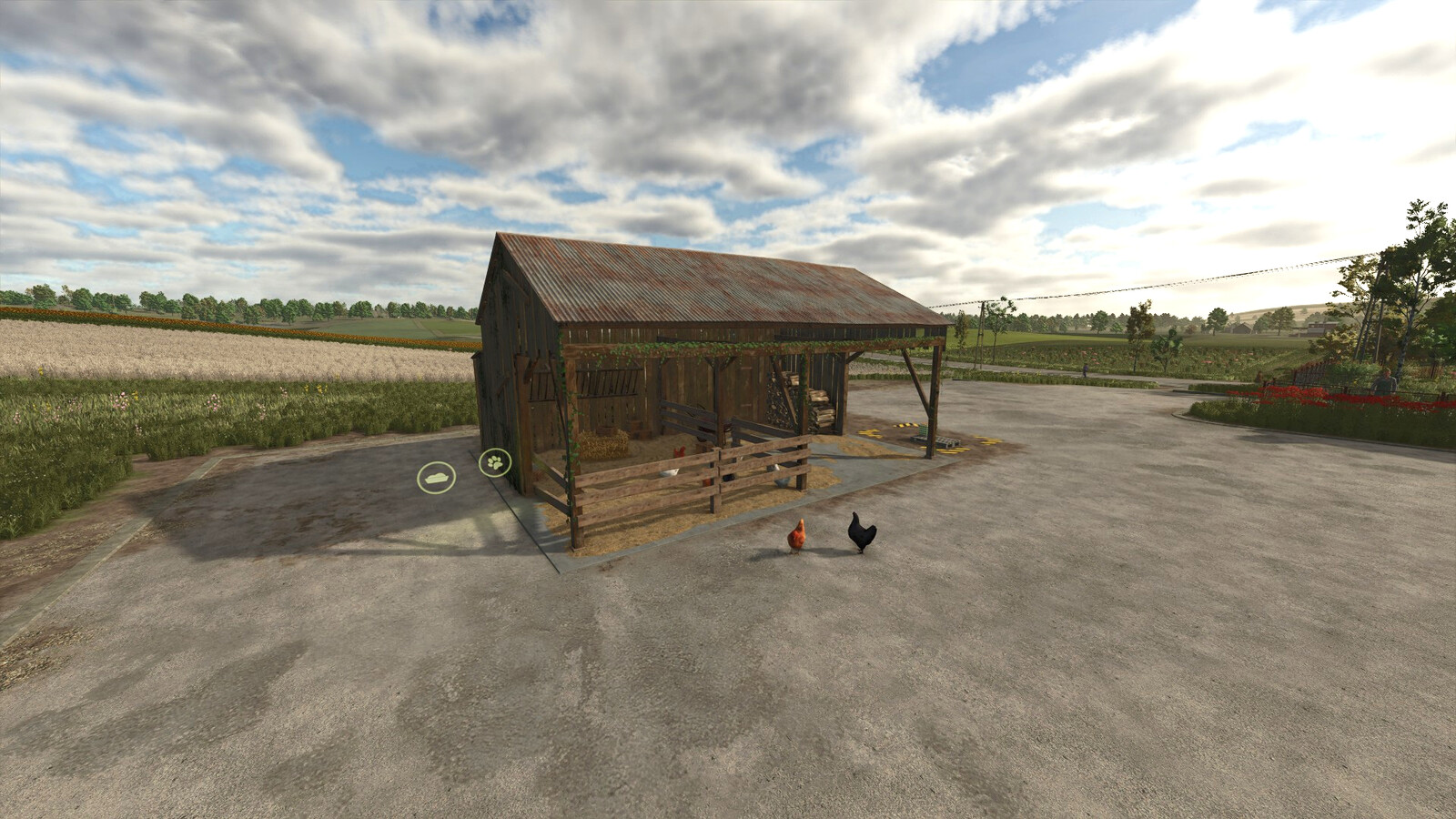 Chicken Shelter