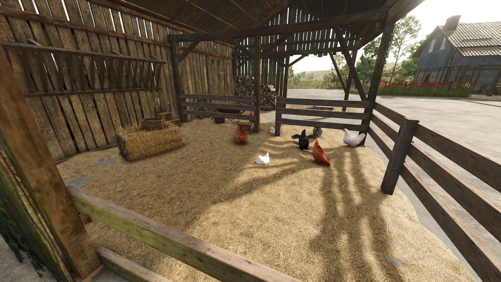 Chicken Shelter