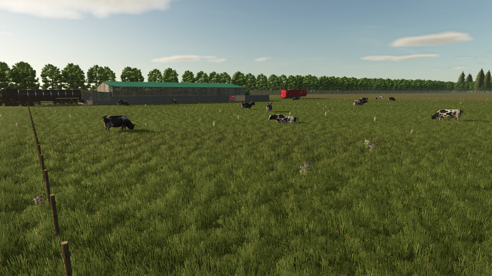 Cow Barn Pasture