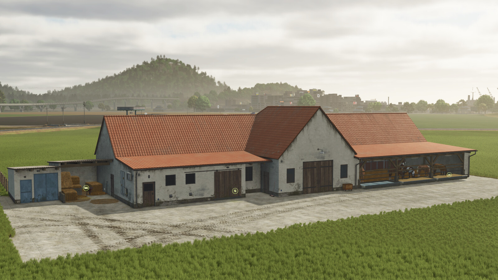 Lizard Animal Barns