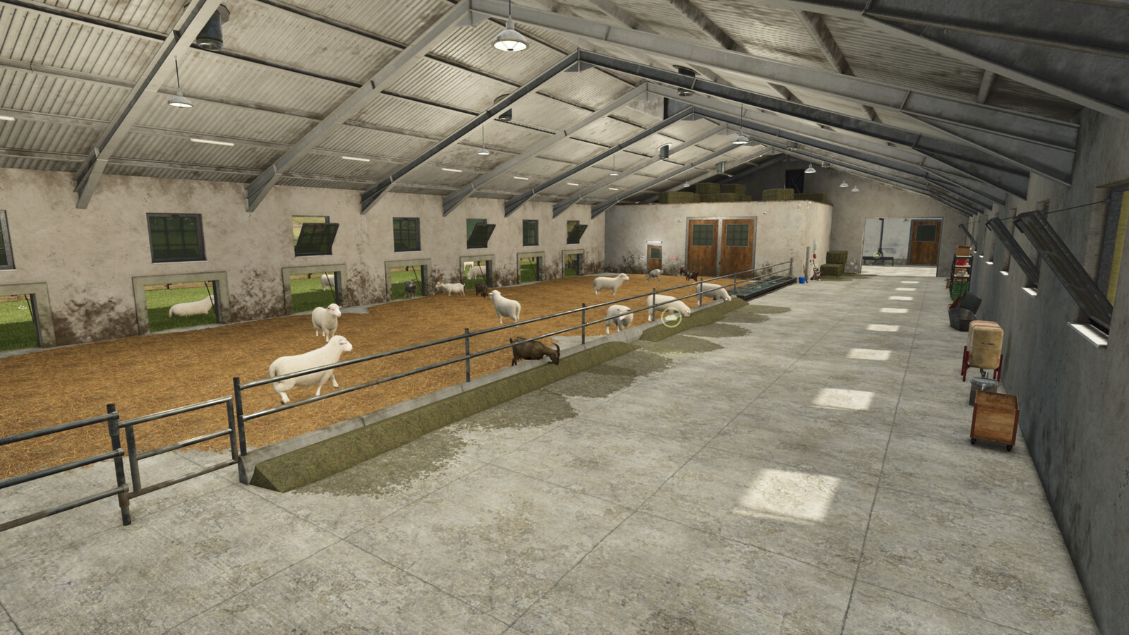 Lizard Animal Barns