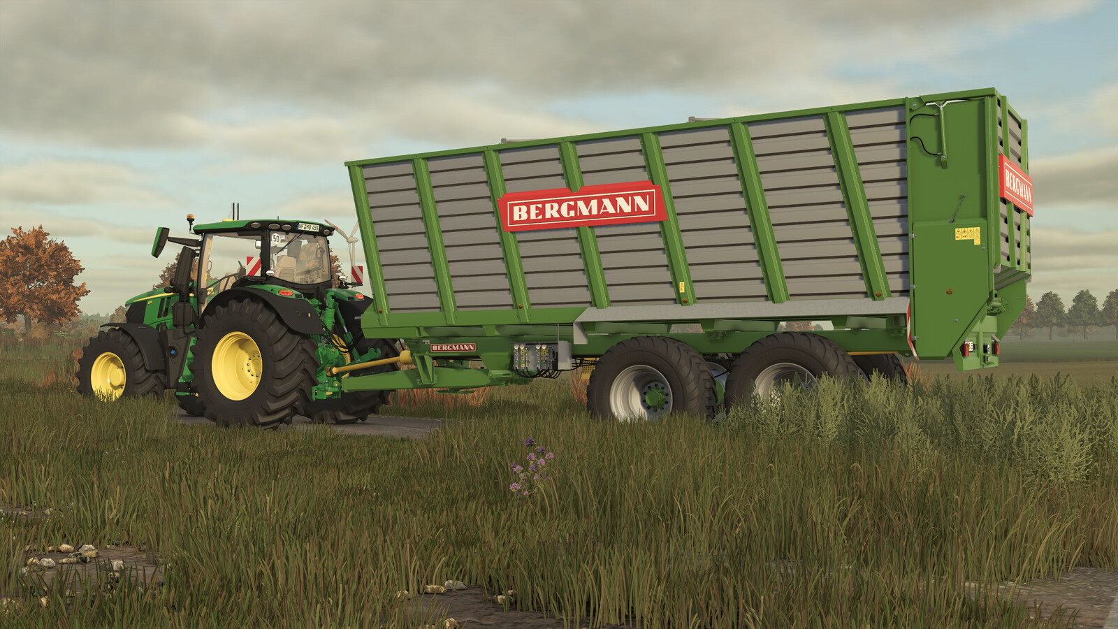 Bergmann HTW 45