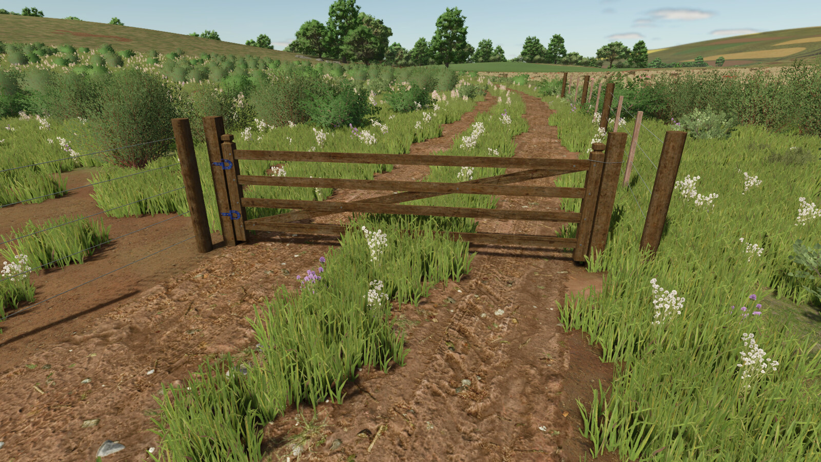 Brazilian Fences