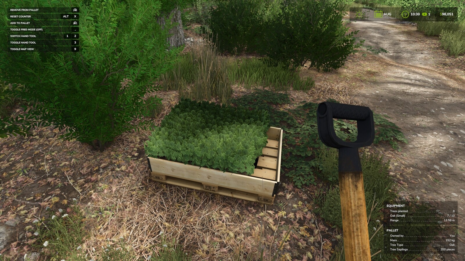 Hand Plant Saplings