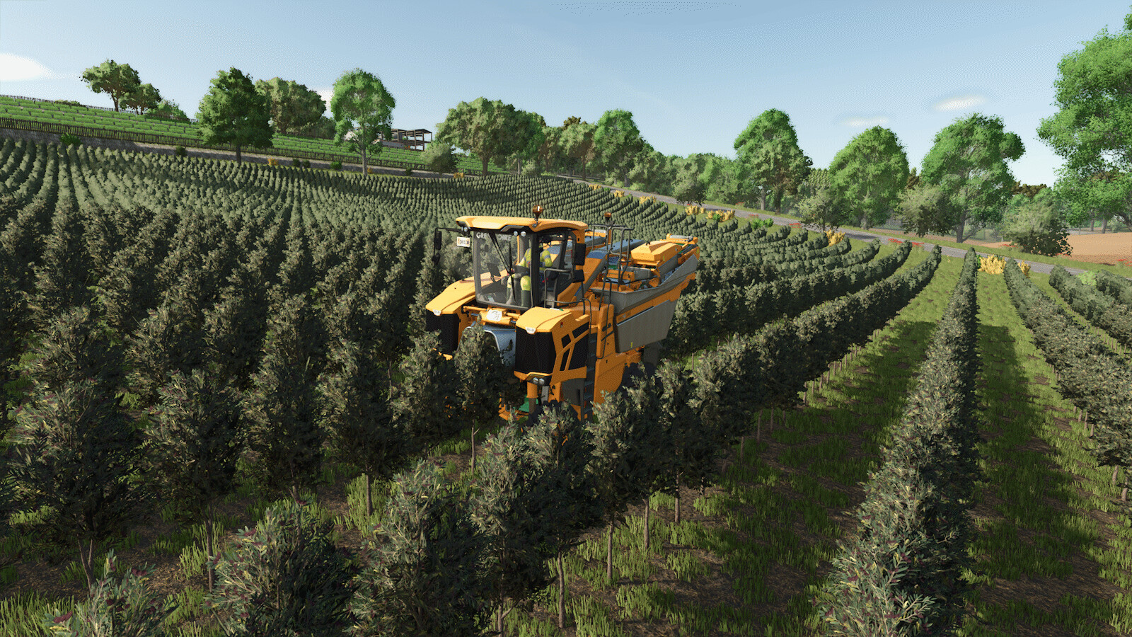 StarValley