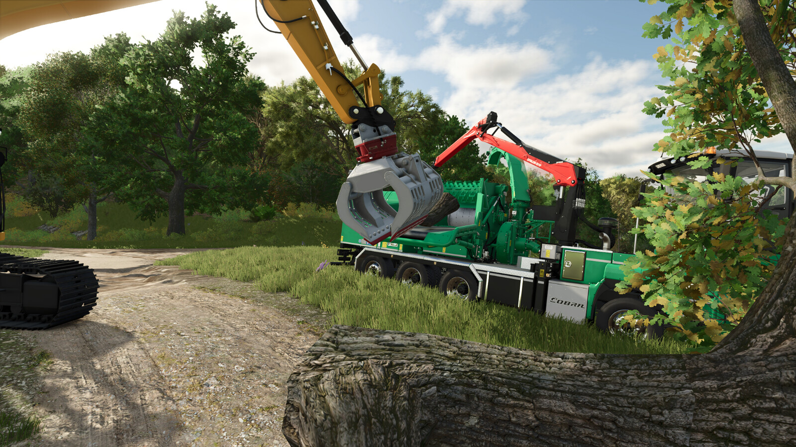 Lizard DRG-22