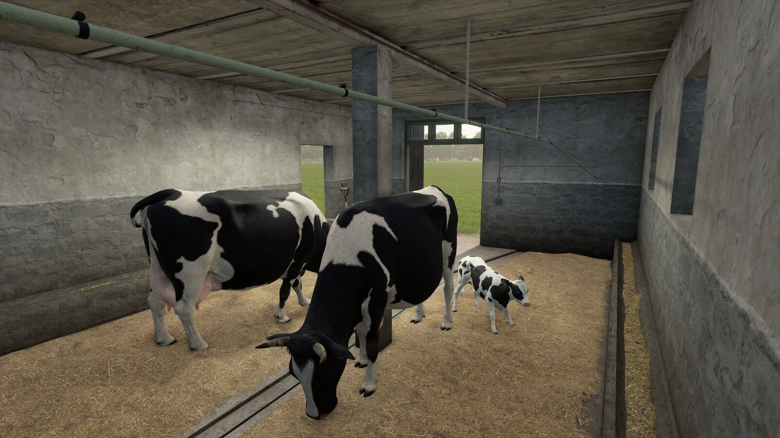 Barn With Cowshed