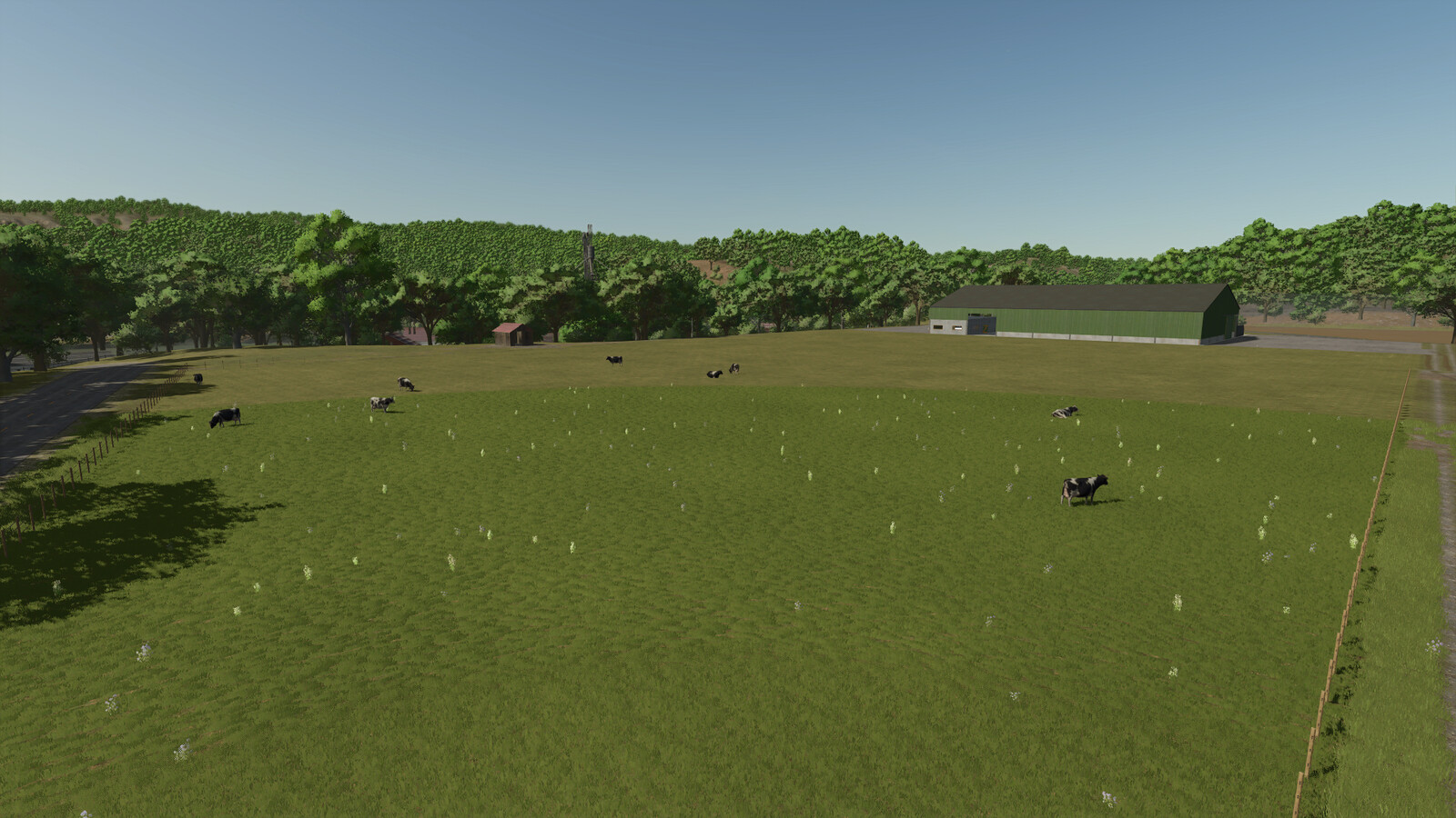 Dairy Cow Stall