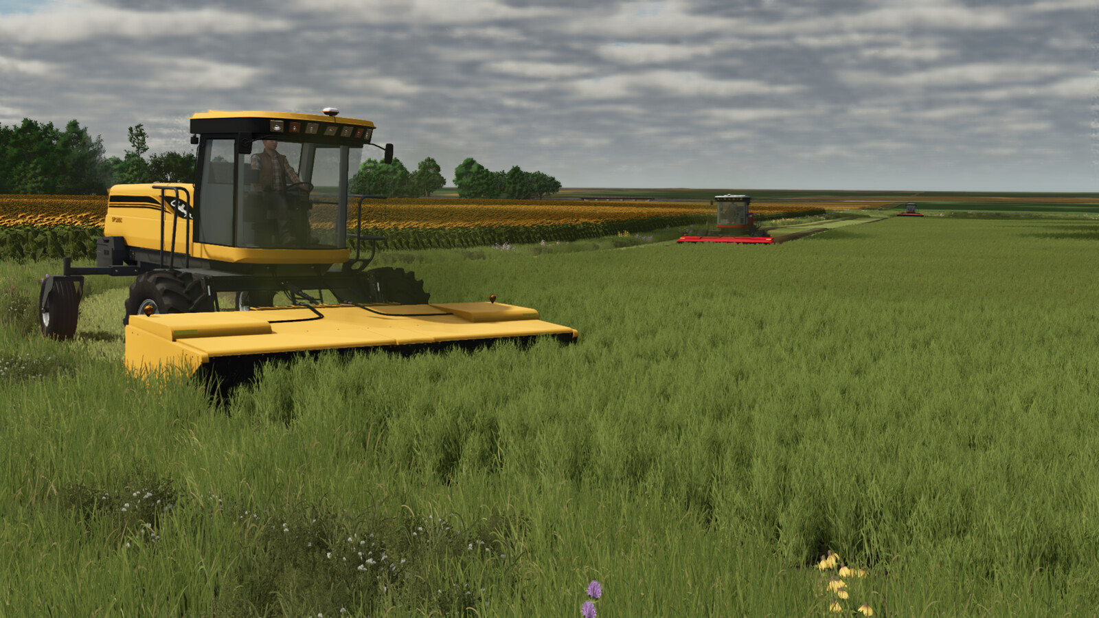 AGCO Swather Pack