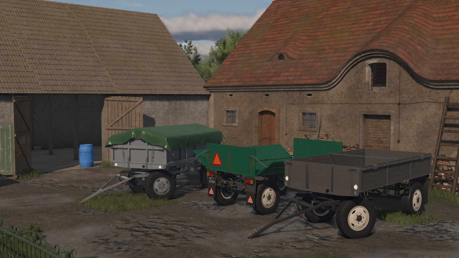 Lizard D44