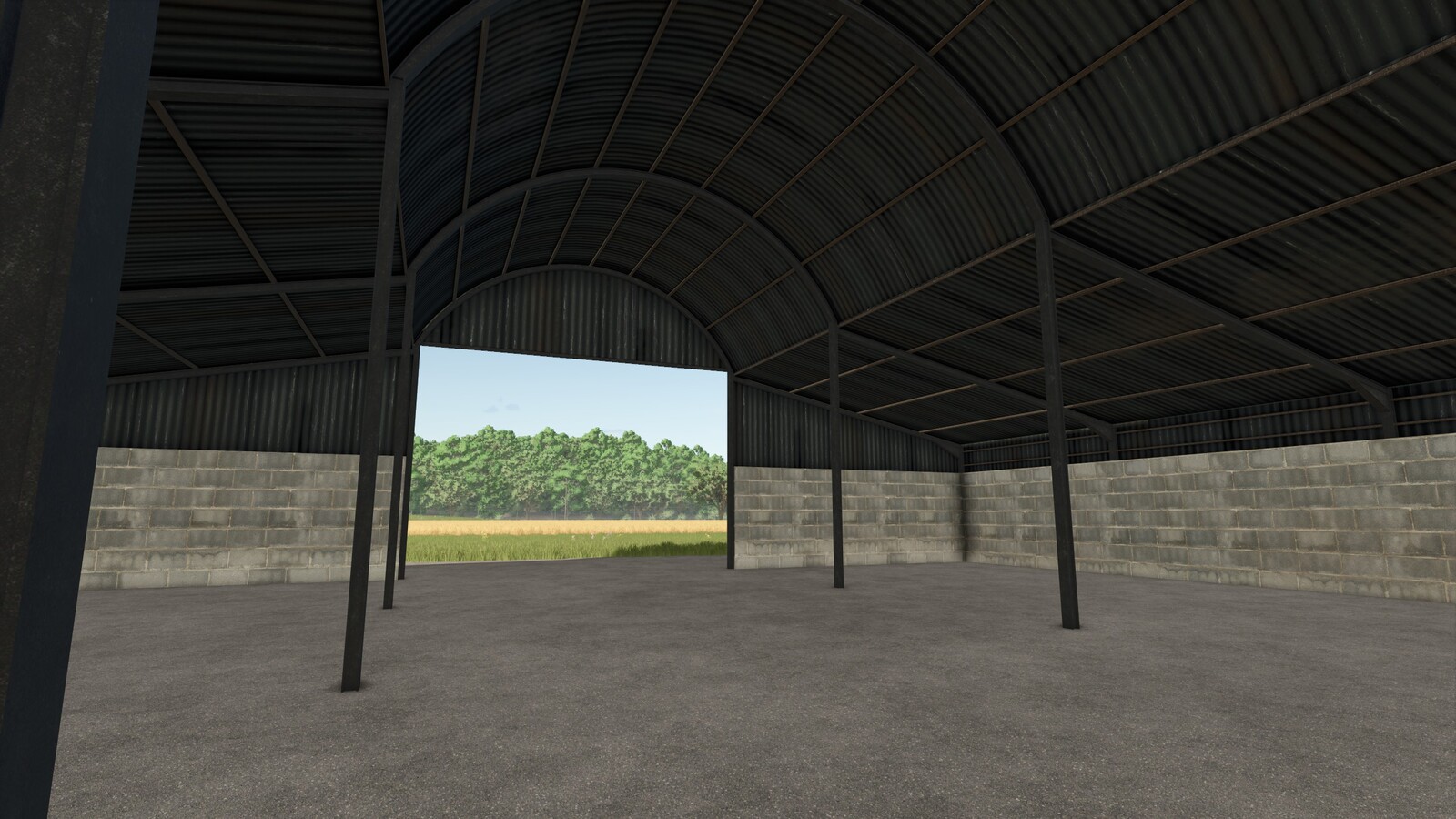 Large Shed
