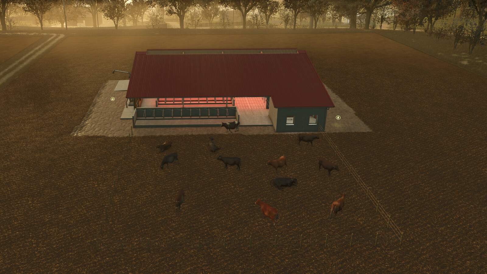 Animals Display