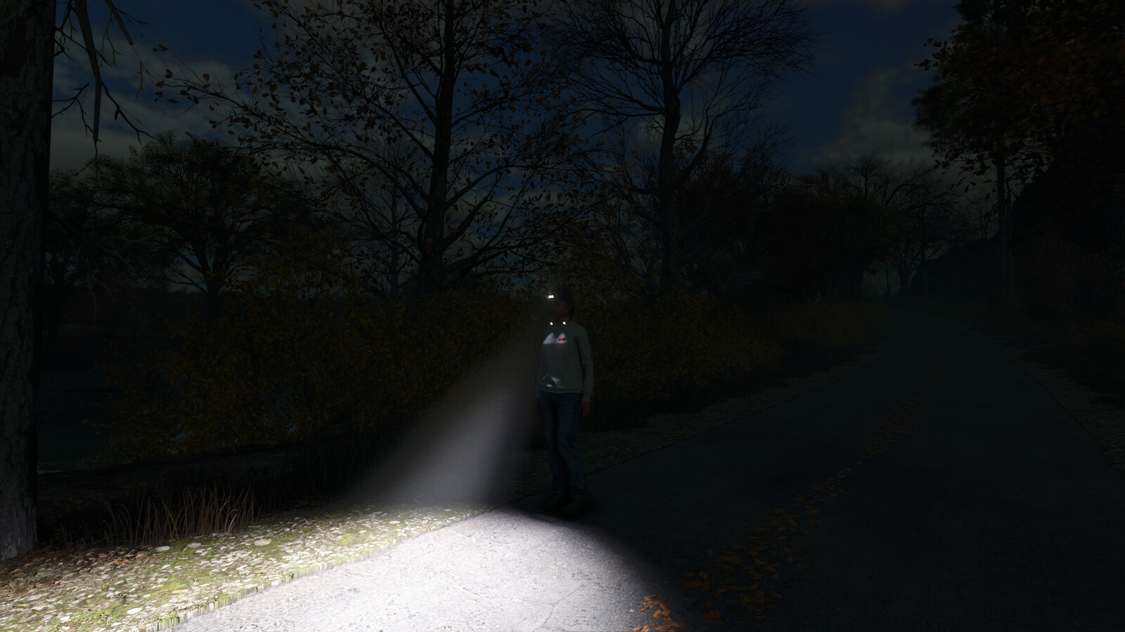 Flashlights. Hands-Free
